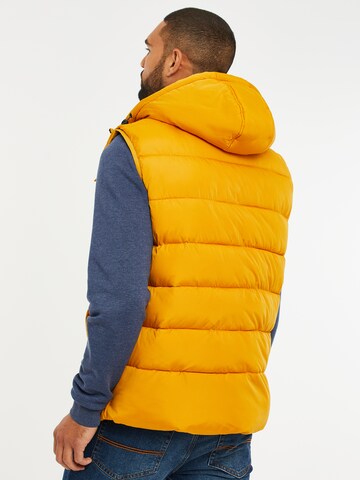 Threadbare Bodywarmer 'Ritcher' in Geel