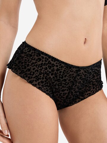 Panty di ETAM in nero