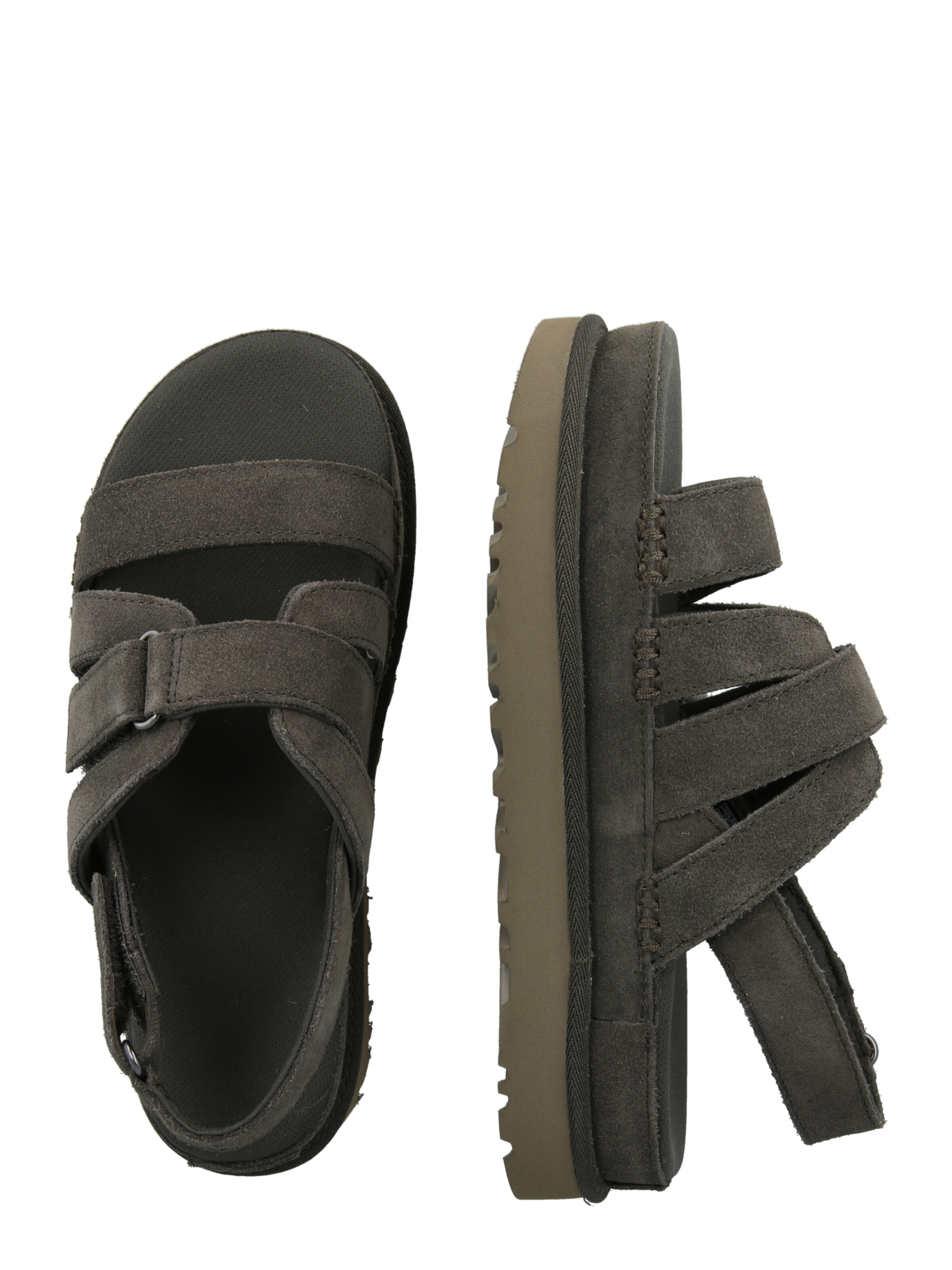 UGG Strap sandal 'Goldenstar Gleam' in Grey