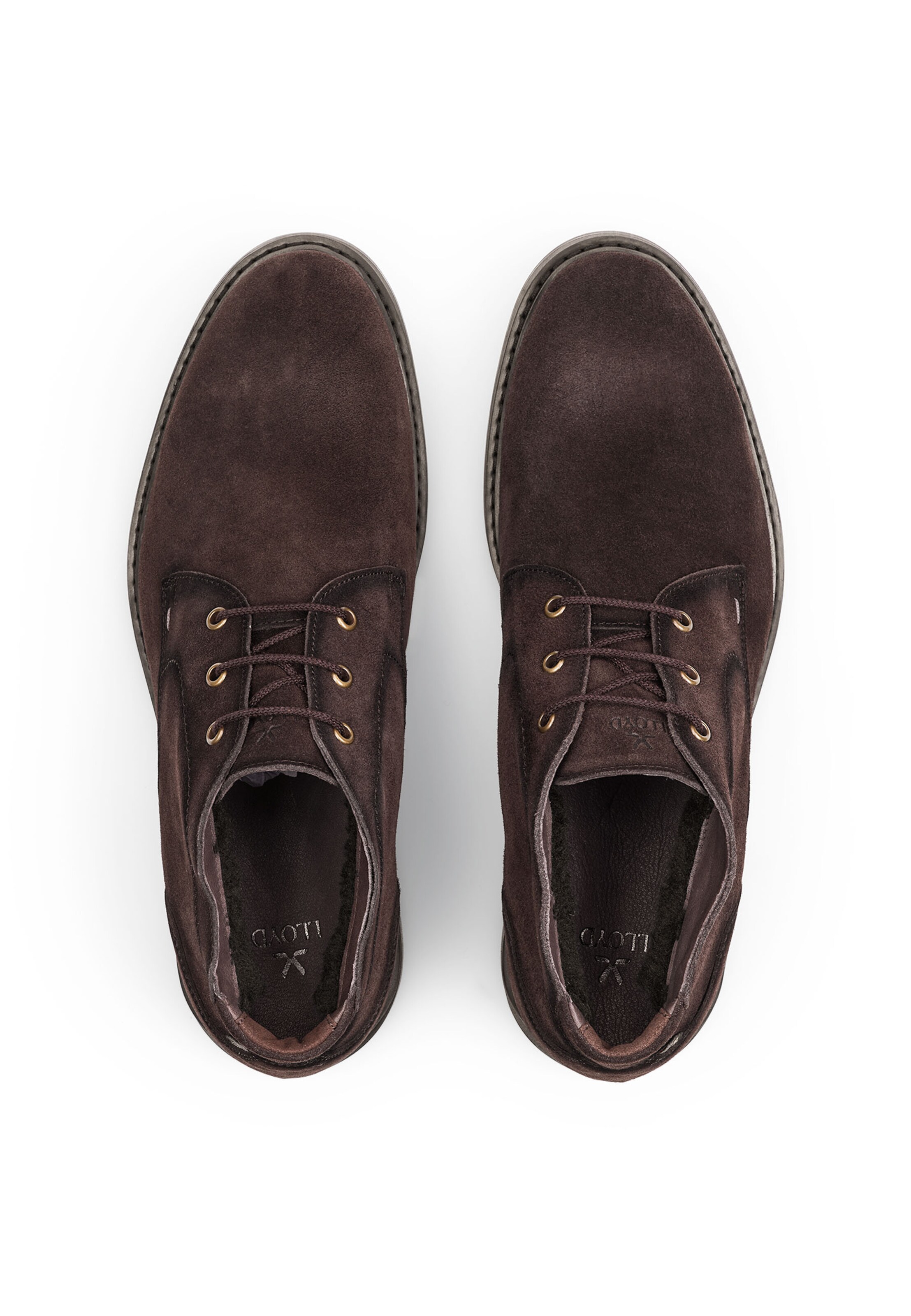 LLOYD Boots in Brown