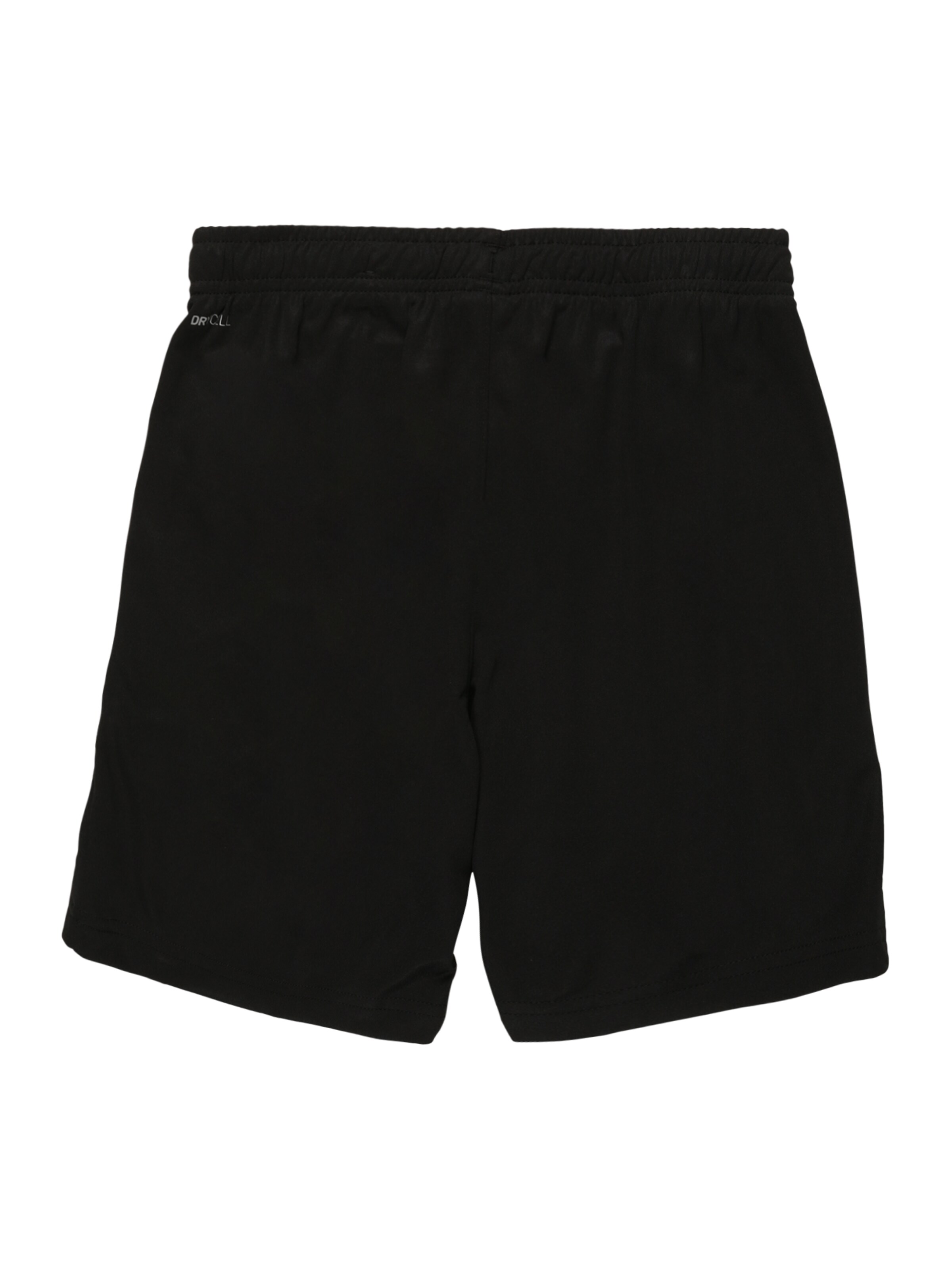 PUMA Regular Sportshorts 'Team Liga' in Schwarz