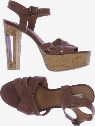 Calvin Klein Jeans Sandals & High-Heeled Sandals in 38 in Brown: front