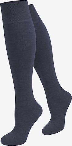 normani Knee High Socks in Blue: front