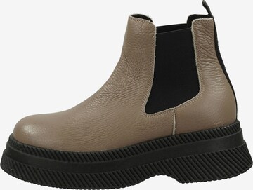 Chelsea Boots STEVE MADDEN en beige