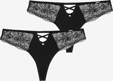 juoda Dorina Siaurikės: priekis