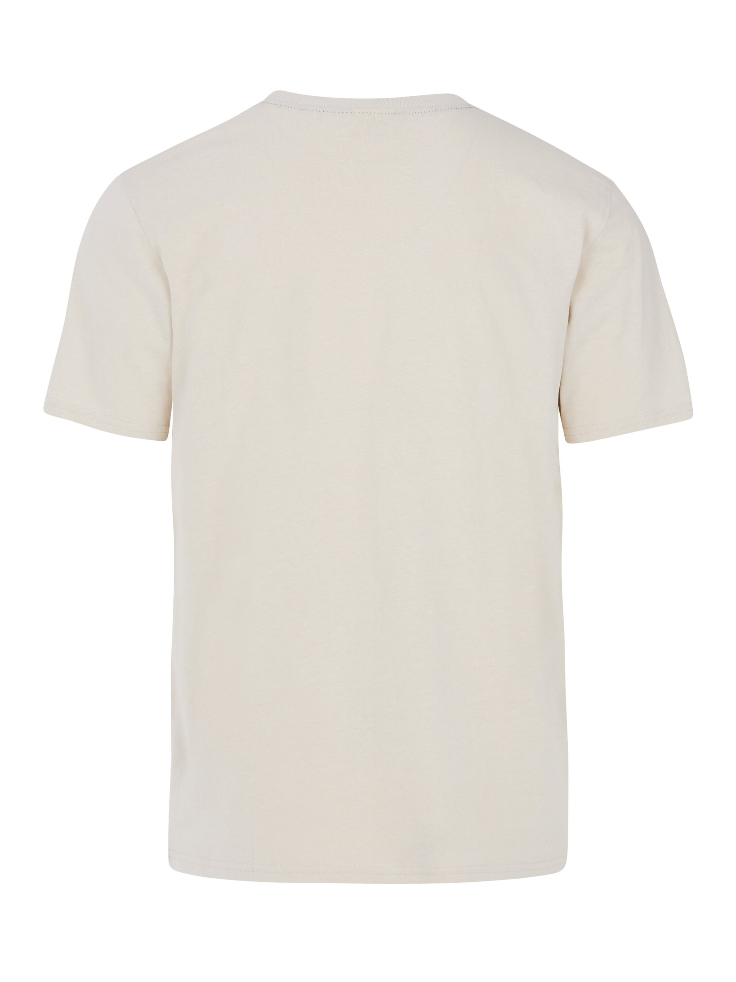 PROTEST Shirt 'PRTSTAN' in Wit