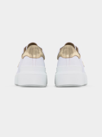 Baskets basses 'HOLLYWOOD 20' BOGNER en blanc