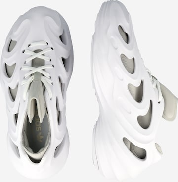 Sneaker bassa 'Adifom Q' di ADIDAS ORIGINALS in bianco