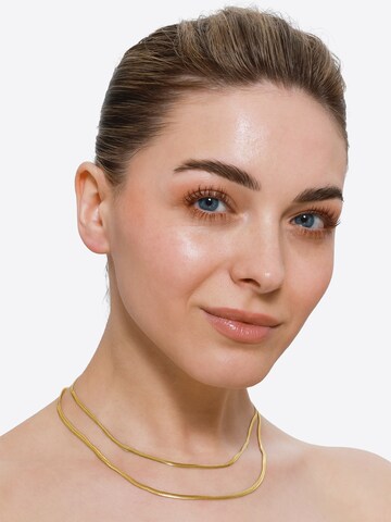 Heideman Kette 'Horus' in Gold: Vorderseite