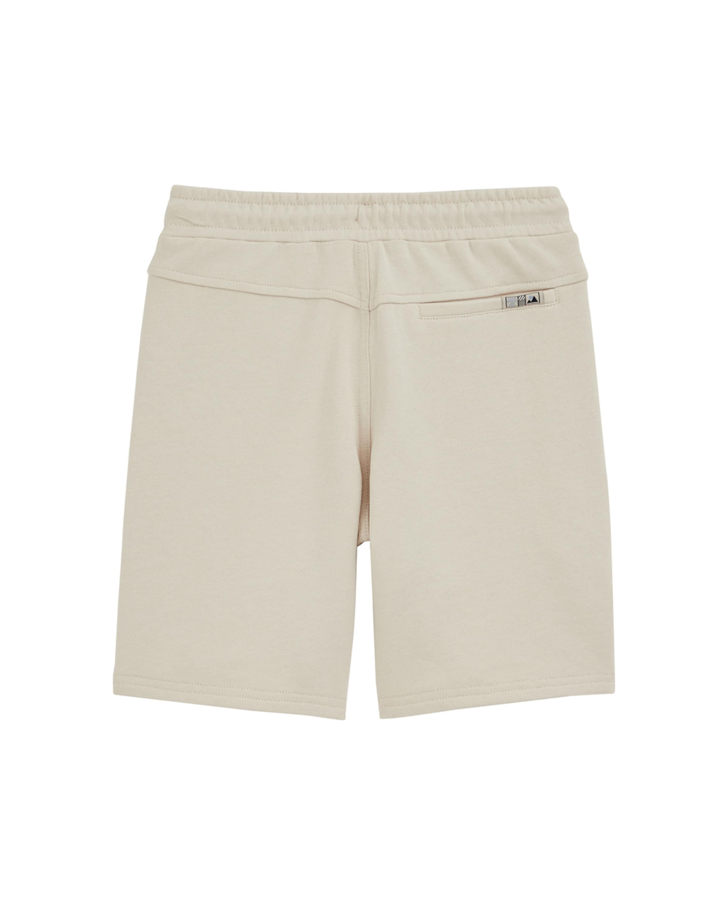 WE Fashion Regular Pants in Beige