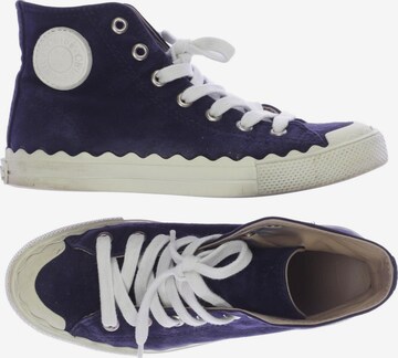 Chloé Sneakers & Trainers in 37 in Blue: front