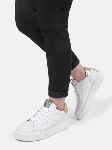 Crickit Sneakers laag ' ORMA ' in Goud