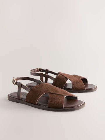 brūns Next Sandales 'Forever Comfort'
