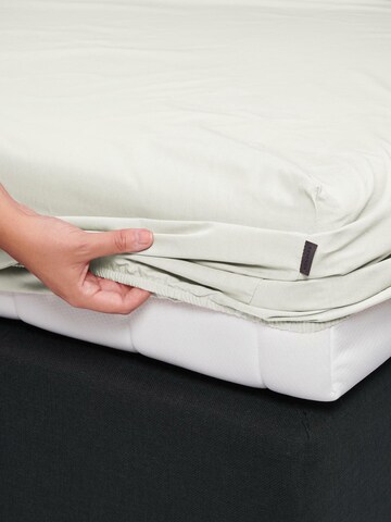 ESSENZA Bed Sheet in Beige