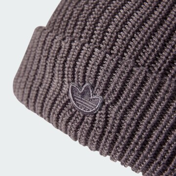 ADIDAS ORIGINALS Beanie 'Adicolor' in Grey