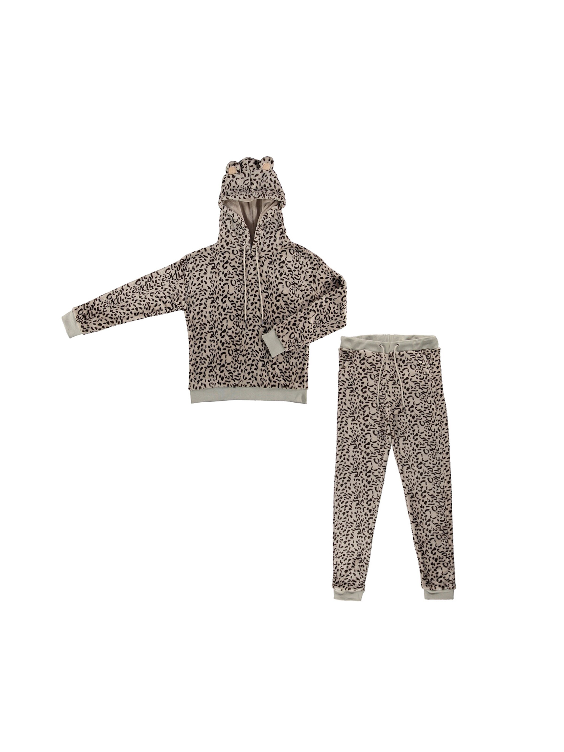 Apollo Sweat suit in Grey
