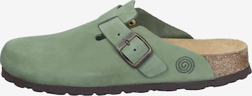 DR. BRINKMANN Clogs 'Nerpio' in Green: front
