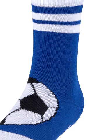 FALKE Socks 'Active Soccer' in Blue