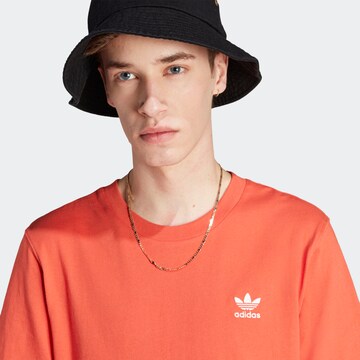 oranžinė ADIDAS ORIGINALS Marškinėliai 'Trefoil Essentials'