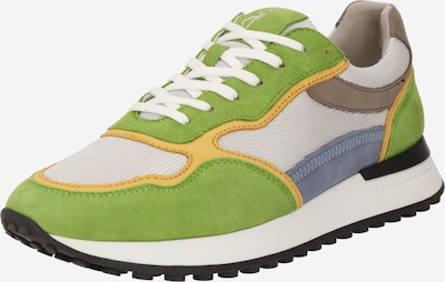 Guido Maria Kretschmer Men Sneakers laag in de kleur Safraan / Lichtgrijs / Donkergrijs / Lichtgroen, Productweergave