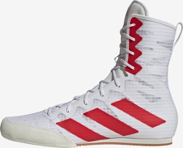 Chaussure de sport 'Box Hog 4' ADIDAS PERFORMANCE en blanc : devant