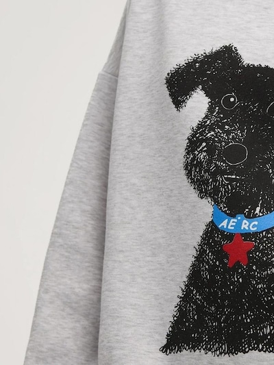 Hiccup Sweat-shirt en bleu / gris / rouge / noir, Vue avec produit