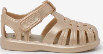Claquettes / Tongs IGOR en or : devant