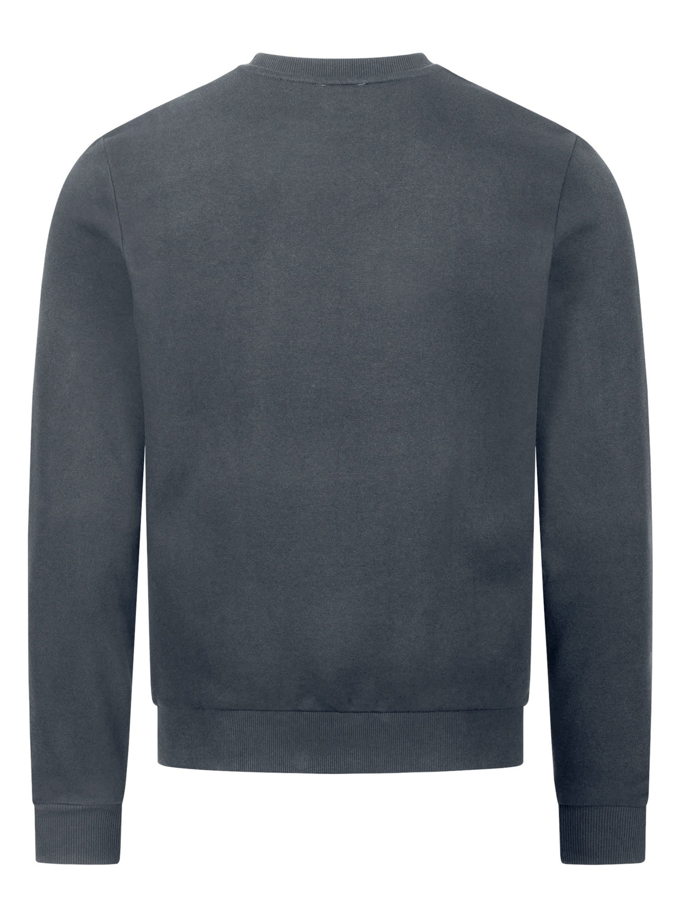 U.S. POLO ASSN. Sweatshirt in Grijs