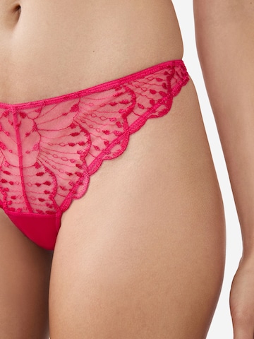 String di ETAM in rosa