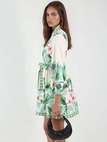 MSN Collection Dress in Green