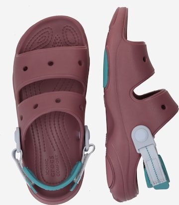 Chaussures ouvertes Crocs en violet