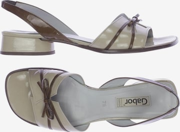 GABOR Sandalen 40,5 in Beige: predná strana