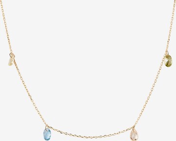 P D PAOLA Necklace in Gold: front