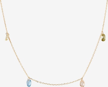 P D PAOLA Necklace in Gold: front