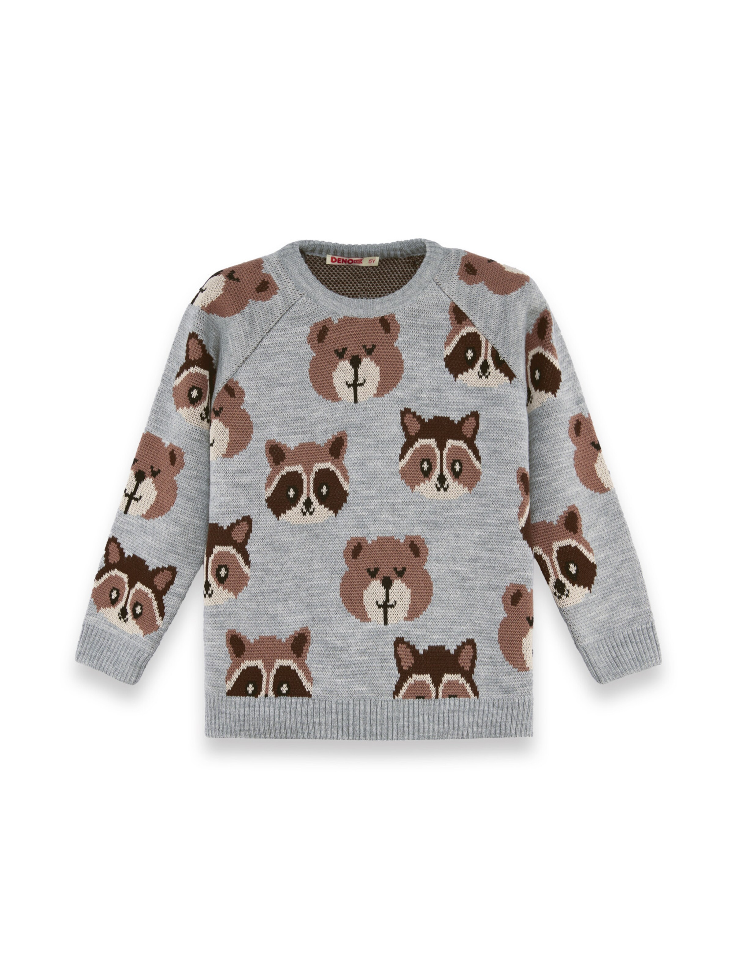 Pull-over ' CFF-25S-065 ' Denokids en gris : devant