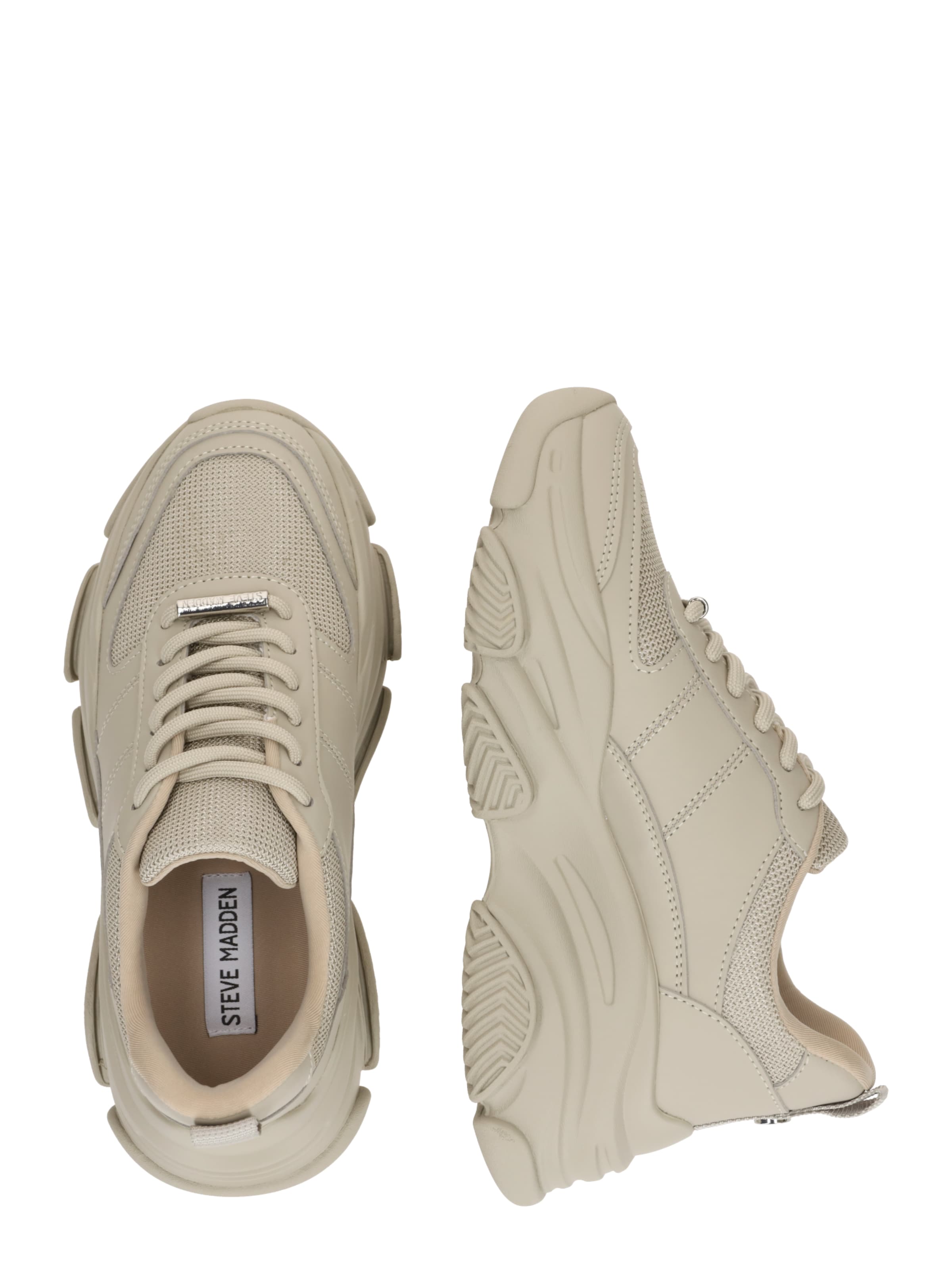 STEVE MADDEN Nizke superge 'Dragon' | bež barva: ob strani