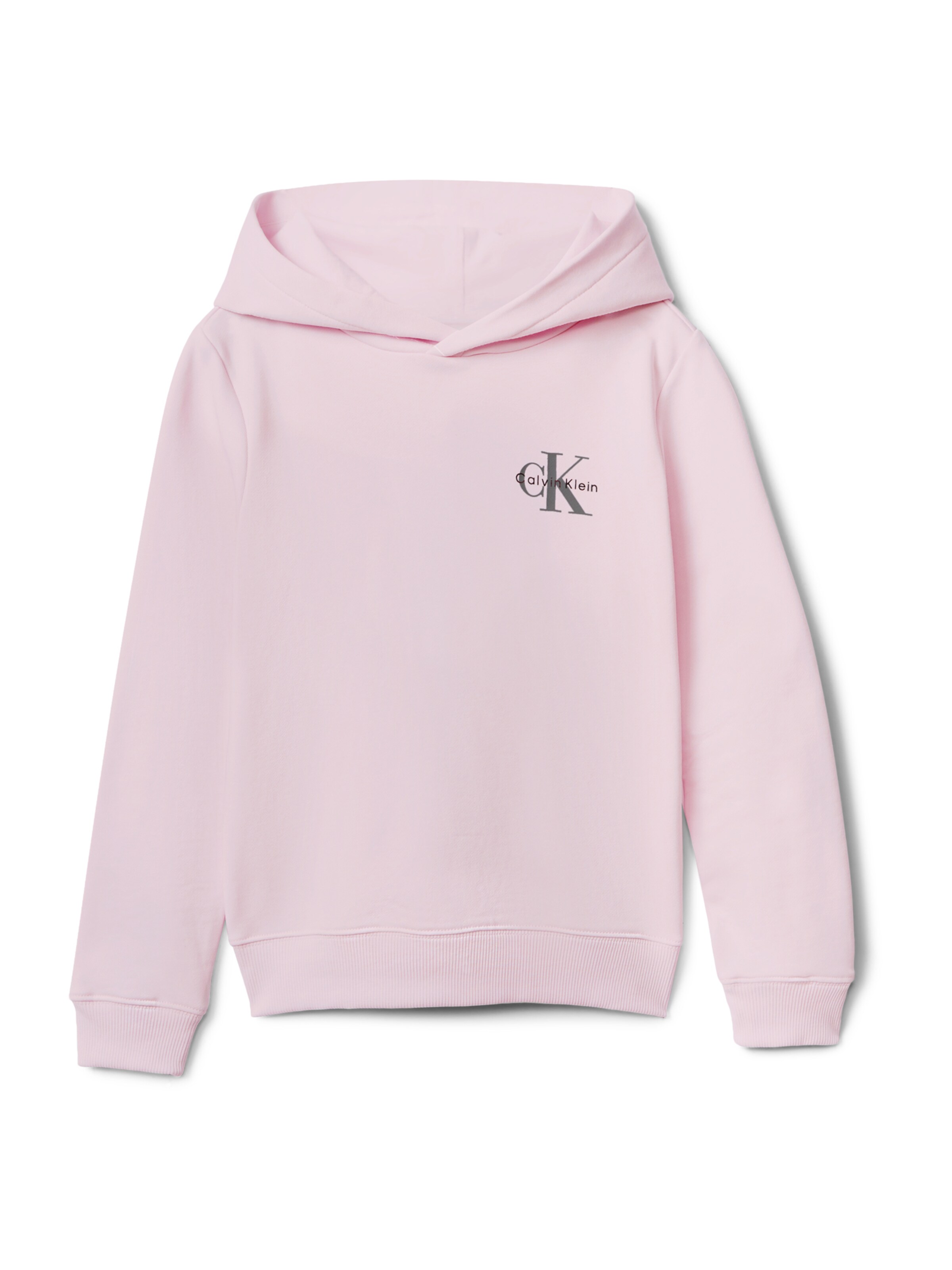 Calvin Klein Jeans Свитшот в Ярко-розовый: спереди