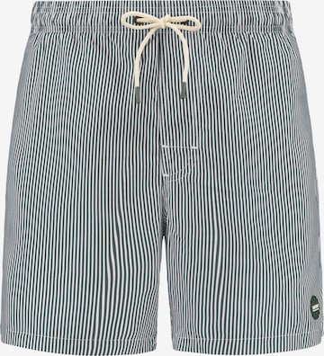 Shiwi Uimashortsit 'Mike' värissä vihreä: etupuoli