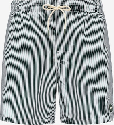 Maudymosi trumpikės 'Mike' iš Shiwi, spalva – tamsiai žalia / balta, Prekių apžvalga