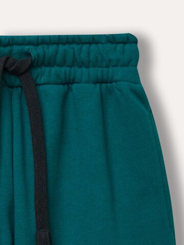 WINKIKI Regular Pants in Green