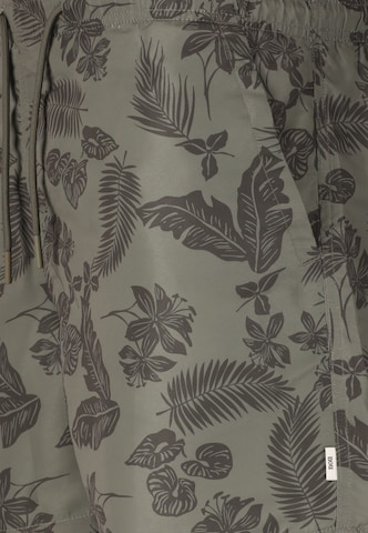 NOU Swimming shorts 'Fileyer' in Grey