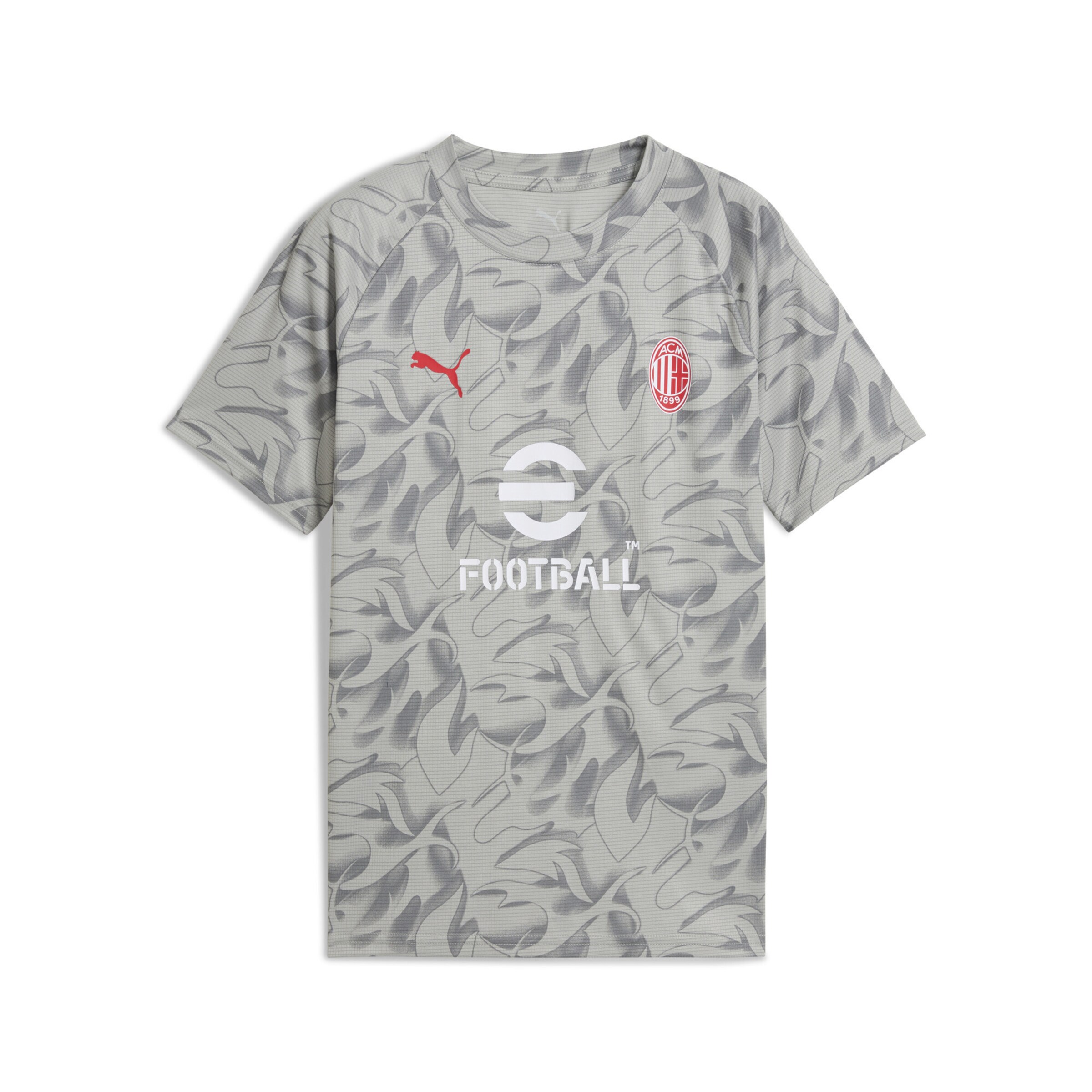 PUMA Funktionsshirt 'AC Milan' in Grau: Vorderseite