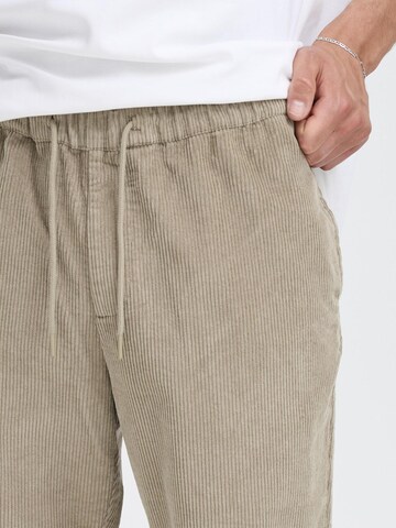 Regular Pantalon chino ' SDGutti ' !Solid en beige