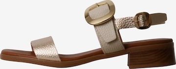 Oh my Sandals Sandale in Grau: Vorderseite