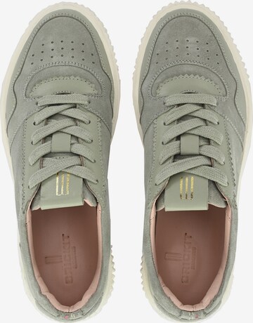 Crickit Sneakers 'MAURA' in Green