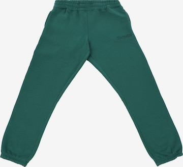 Dropsize Trousers 'Embo V3' in Green: front