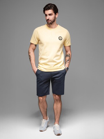 Ombre Slimfit Broek in Blauw