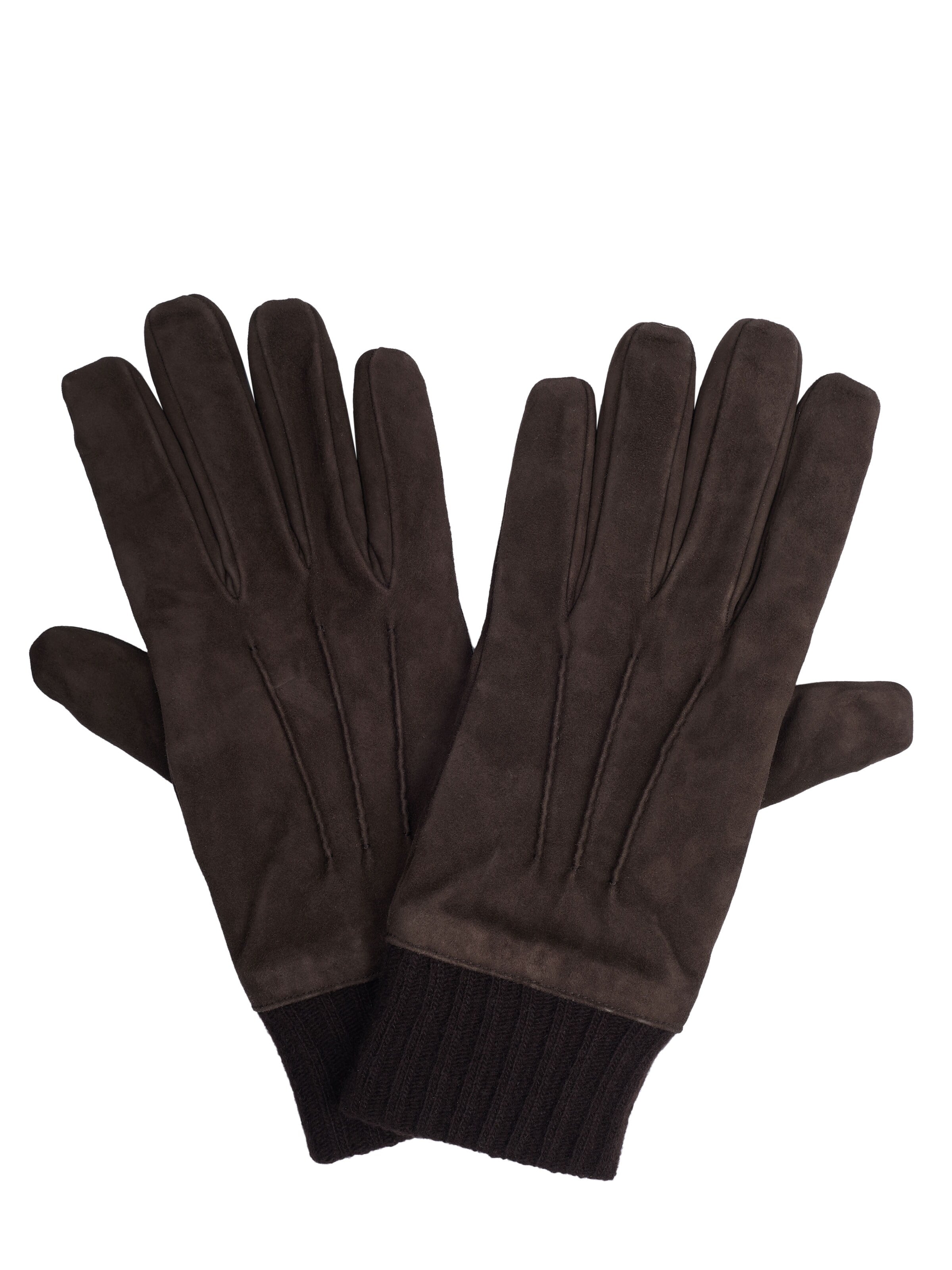PAL ZILERI Fingerhandschuhe‌‌‌‌‌‌‌‌‌‌ in Braun: Vorderseite
