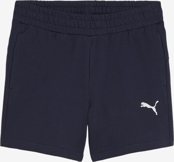 PUMA Workout Pants 'TeamGOAL' in Blue: front