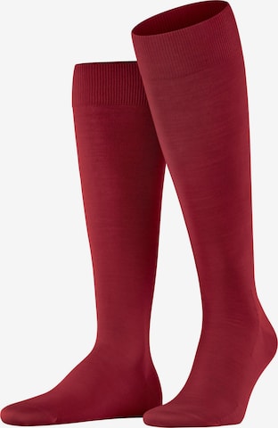 FALKE Knee High Socks 'ClimaWool' in Red: front